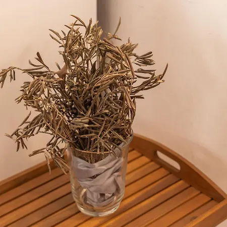 One Bedroom Ranch House