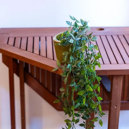 One Bedroom Ranch House