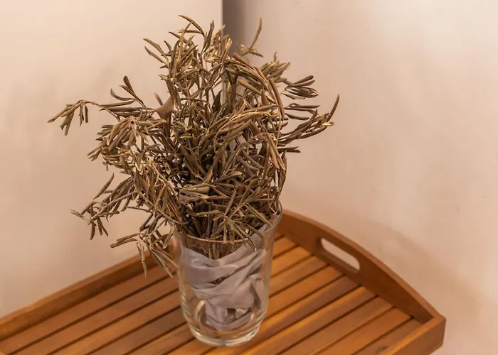 One Bedroom Ranch House